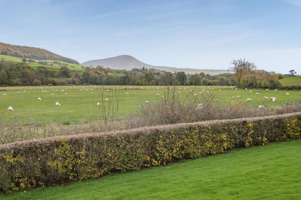 Sunny Cottage Brecon Buitenkant foto